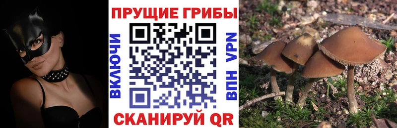 MEGA ТОР  Чапаевск  Галлюциногенные грибы ЛСД 